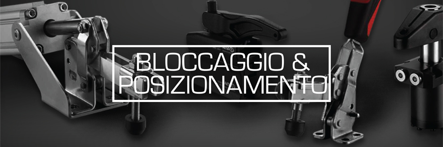 BLOCCAGGIO E POSIZIONAMENTO